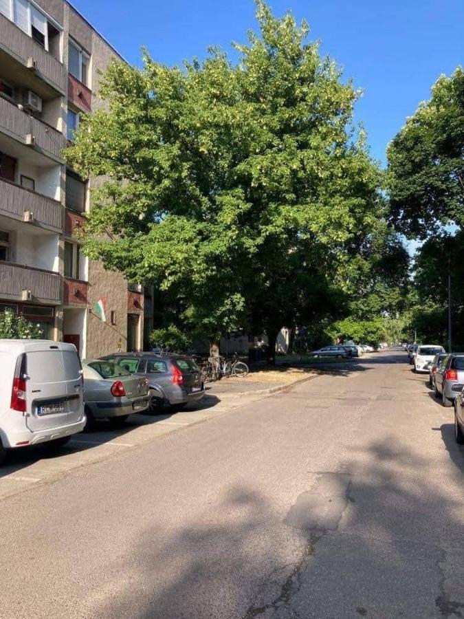Kertvaros24 Apartman Hódmezővásárhely エクステリア 写真